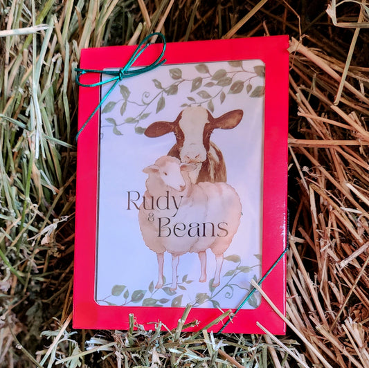 Life Lessons With Rudy & Beans - Story Card Gift Set